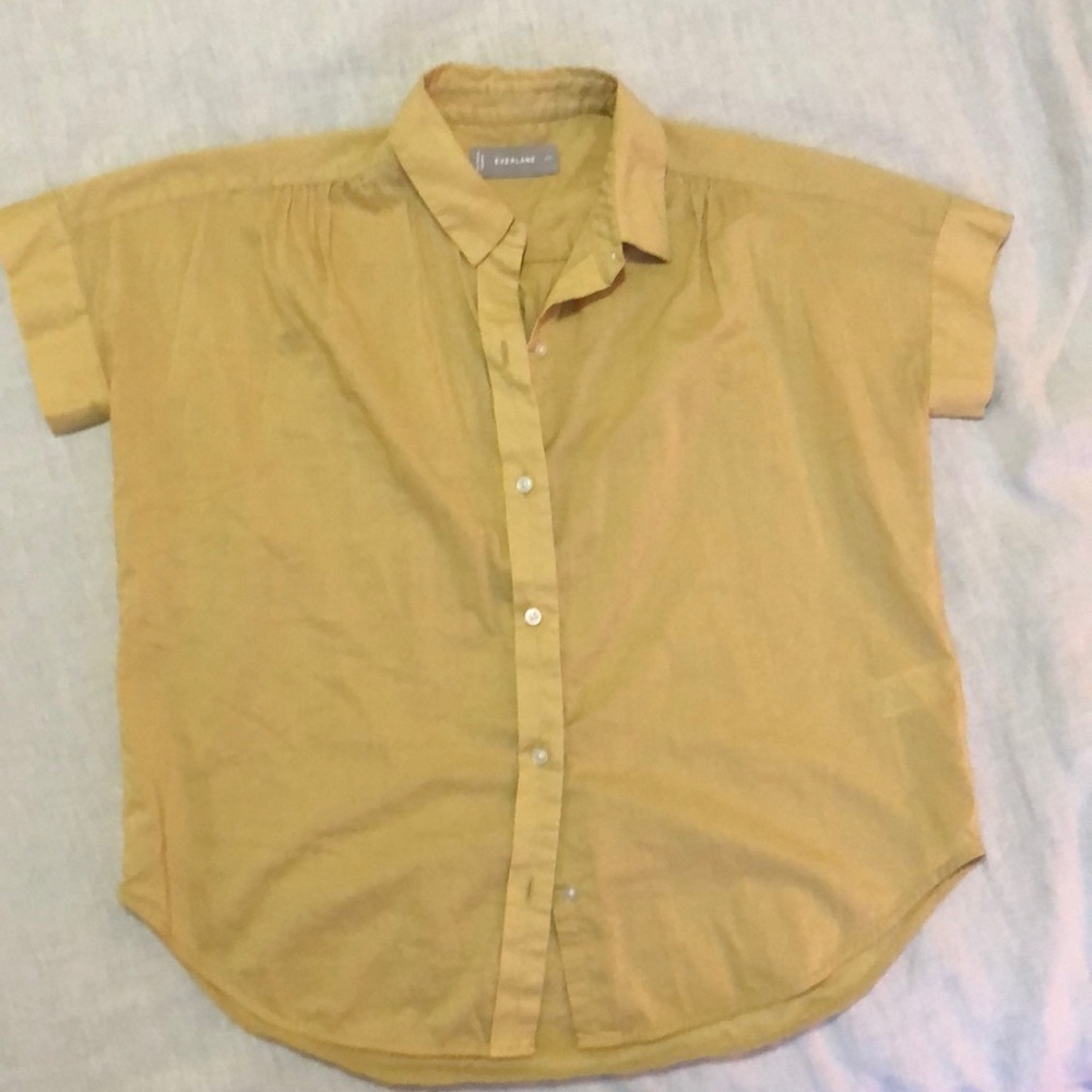 Everlane Cropped Button Down